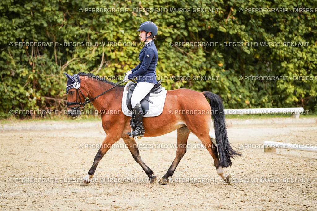 DSC00645 | Pferdegrafie