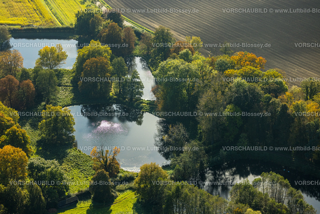 Selm241011204SchlossCappenberg | Luftbild, Teiche und herbstliche Bäume am Schloss Cappenberg, Cappenberg, Selm, Münsterland, Nordrhein-Westfalen, Deutschland