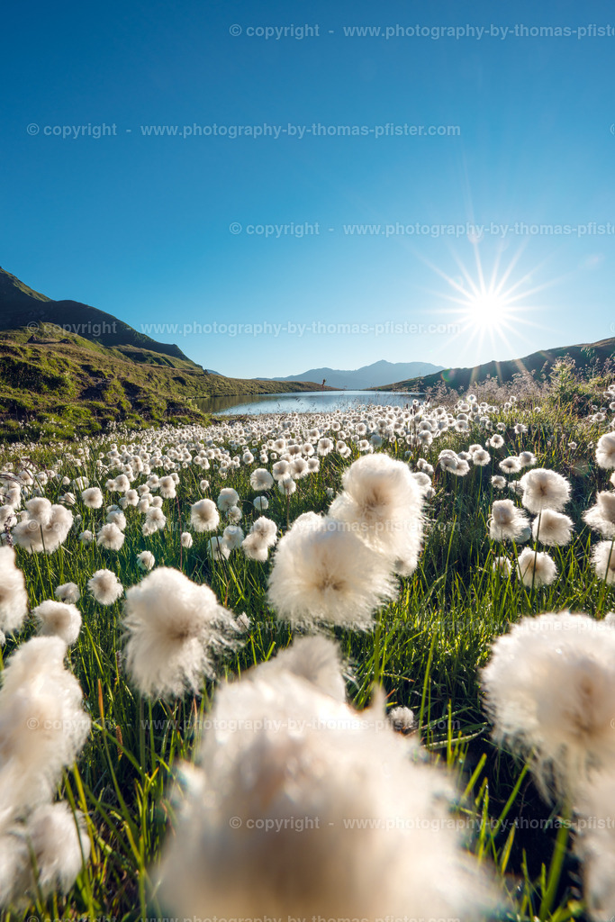 Torseen Tux Wollgras copyright  Thomas Pfister-1 | PHOTOGRAPHY BY THOMAS PFISTER