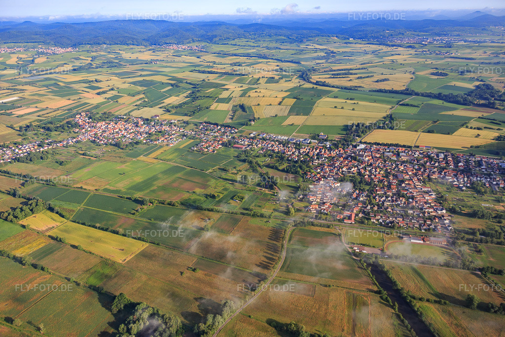 Luftbild: Dorfansicht am Viehstrich aus Süden in Steinfeld im Bundesland Rheinland-Pfalz in Deutschland. Foto: IMG_089964.jpg vom 26.06.2016 durch Werner Riehm/FLY-FOTO.de