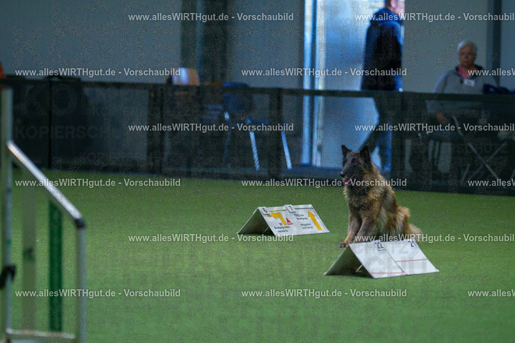 7R502554 | Professionelle Tierfotografie in Mönchengladbach von Daniel Wirth (allesWIRTHgut). Liebevolle & natürliche Bilder von Hunden & Katzen für unvergessliche Erinnerungen.