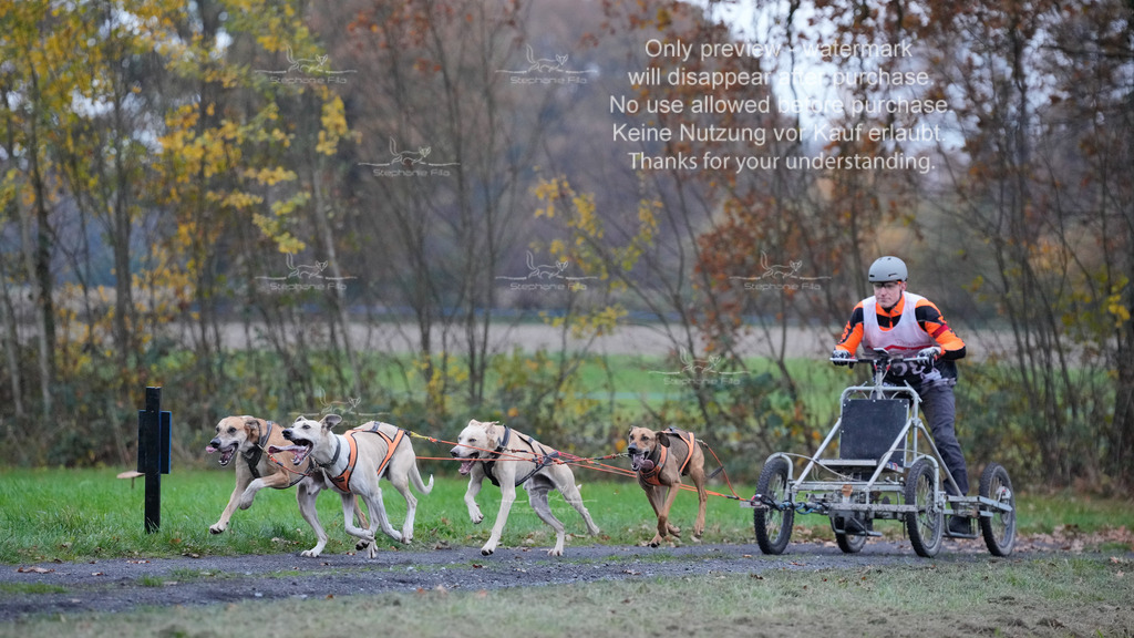 Visbeck_Sa_D4_6-21 | stephaniefillaphotographie - Realisiert mit Pictrs.com