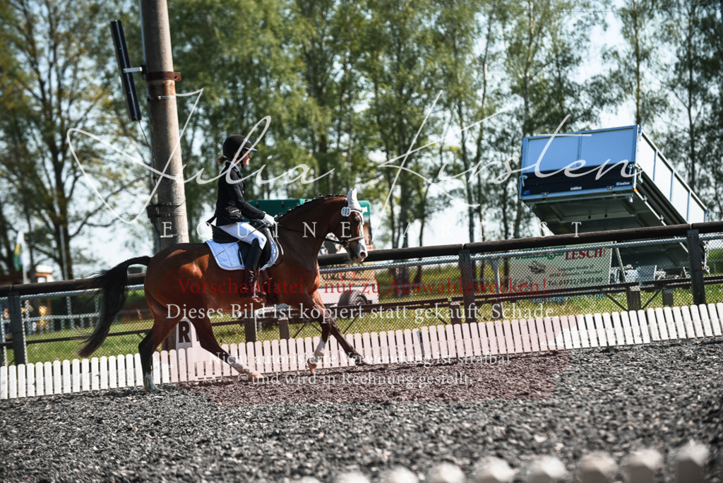 DSC_8721 | Pferde- und Turnierfotografie in Westsachsen. Pferdeportraits, Auftragszeichnungen und intuitive Kunst.