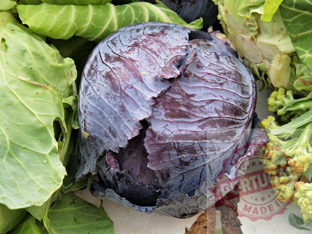 Whole fresh red cabbage with green leaves | Fresh red cabbage showing vibrant color and natural texture, surrounded by green leaves - Realized with Pictrs.com