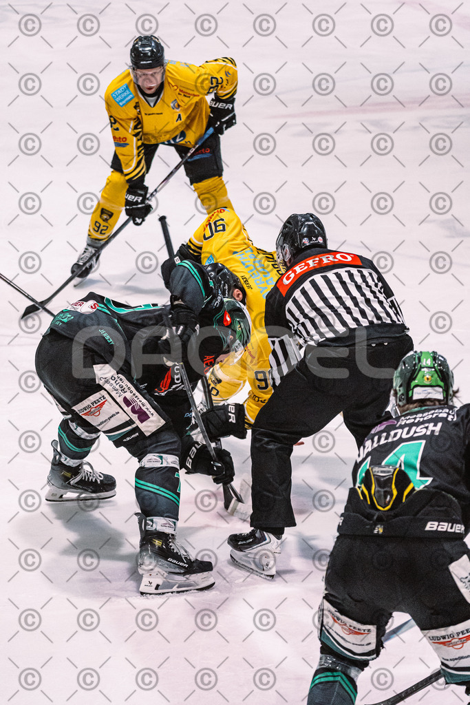 Alligators_vs_Bayreuth_16_01_2026-29 | Höchstadt Alligators Fotogalerie: Eishockey-Action aus Franken. Professionelle Spielfotos, Portraits & Stadionbilder zum Download. Jetzt entdecken! - Realisiert mit Pictrs.com
