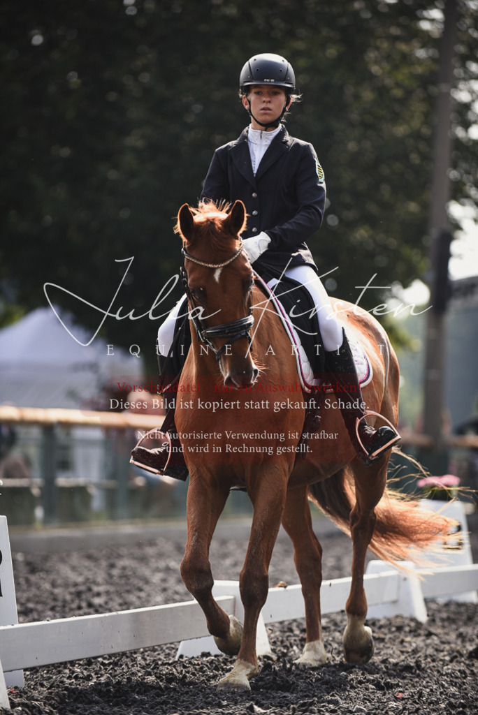 DSC_3590 | Pferde- und Turnierfotografie in Westsachsen. Pferdeportraits, Auftragszeichnungen und intuitive Kunst.