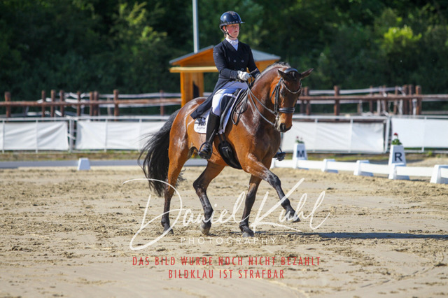 DKP42642 | Turniersportfotografie; Pferdefotografie; Dressurfotografie
