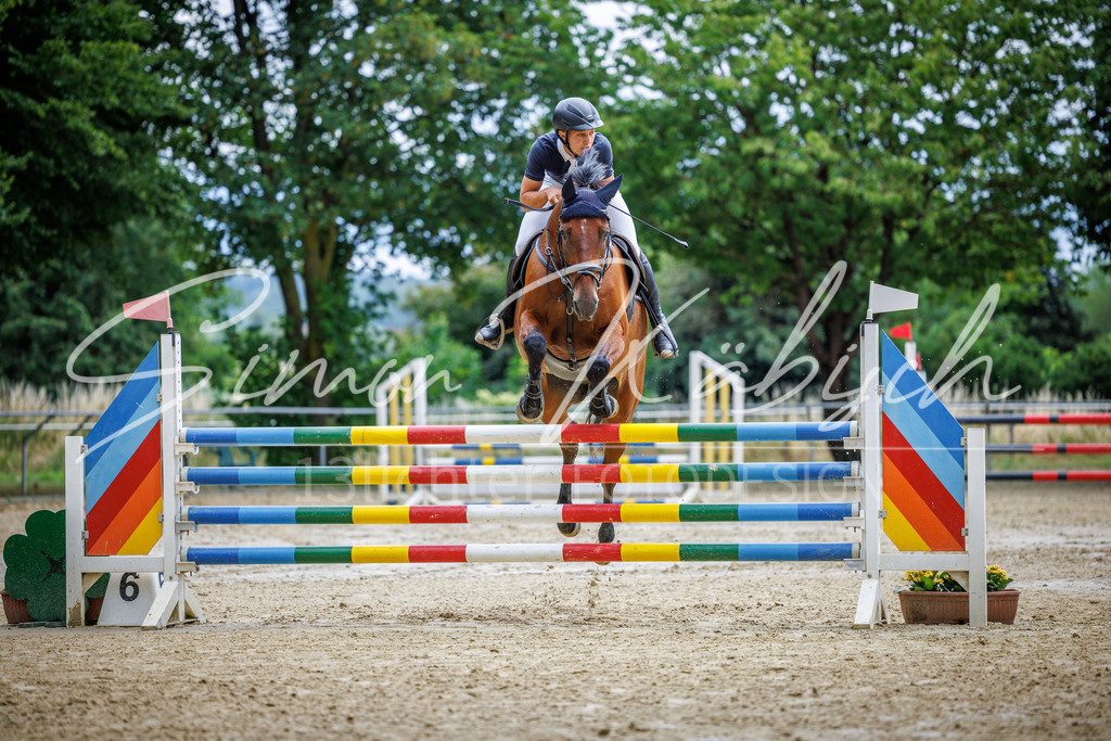 20260705-_3LI5801 | Tierfotografie Pferde, Hunde, Katzen, Haustiere.
Turnierfotografie Reitturniere, Reiten, Springreiten, Dressur in Hanau, dem Main-Kinzig-Kreis und dem Rhein-Main- Gebiet um Frankfurt