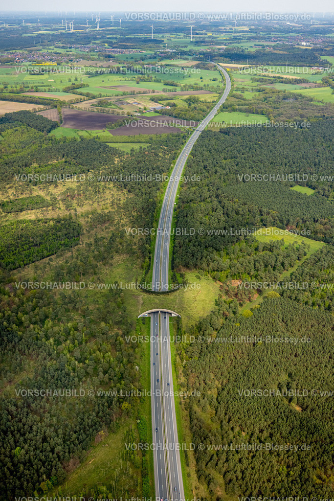 Schermbeck240402065UefterMark | Luftbild, Waldgebiet Üfter Mark, Autobahn A31 mit Grünbrücke bzw. Wildbrücke für gefahrlose Überquerung von Wildtieren, Wildwechsel, Altschermbeck, Schermbeck, Münsterland, Nordrhein-Westfalen, Deutschland