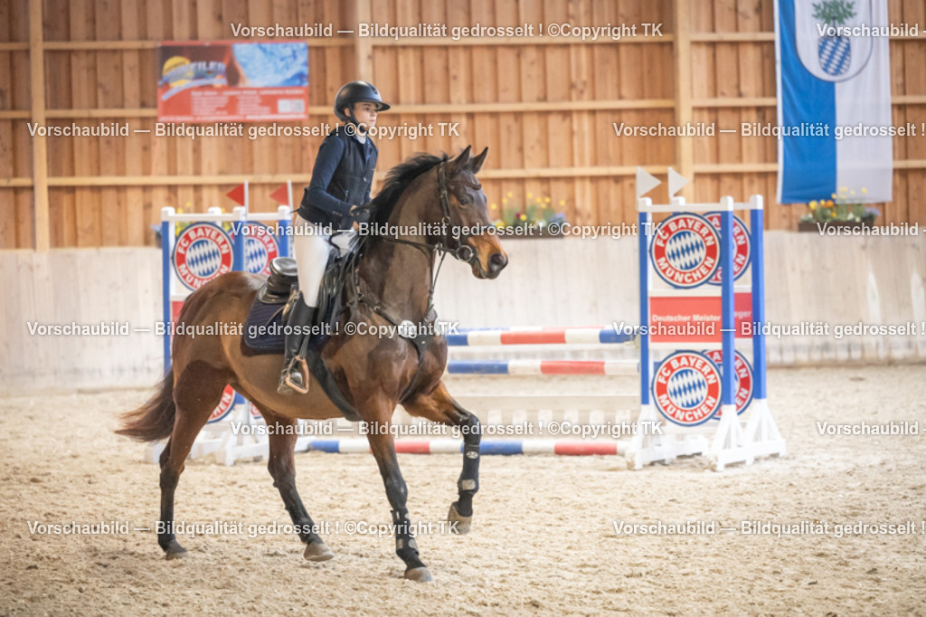 _D5A7832 | Emotionale Pferde- & People-Fotografie rund um Heidelberg, Leimen & Umgebung. Natürliche Fotos von Pferd, Mensch & Familie. Jetzt Termin sichern!