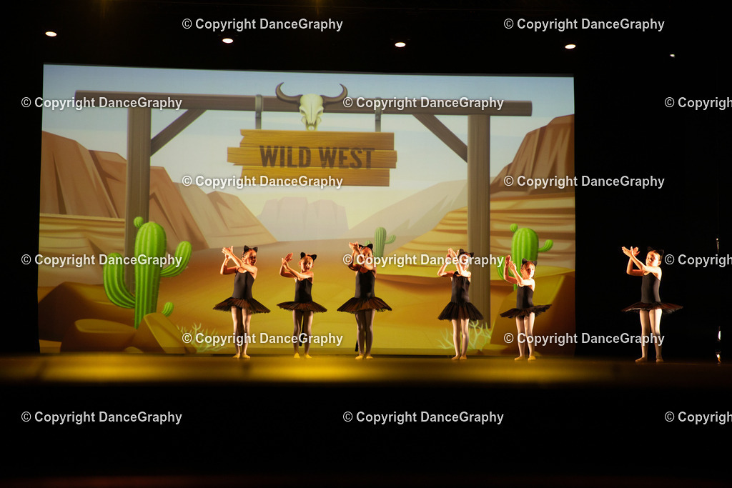 GPHY4244 | DanceGraphy - Realisiert mit Pictrs.com