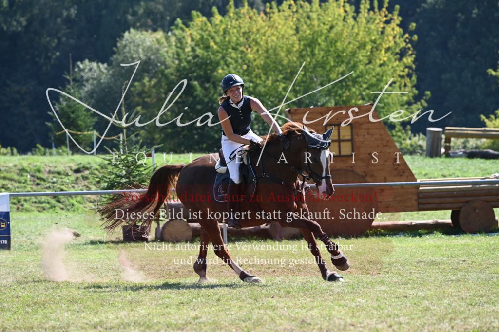 DSC_6478 | Pferde- und Turnierfotografie in Westsachsen. Pferdeportraits, Auftragszeichnungen und intuitive Kunst.