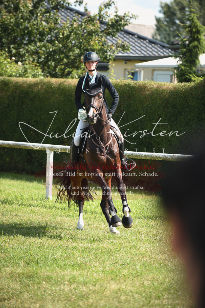 DSC_2645 | Pferde- und Turnierfotografie in Westsachsen. Pferdeportraits, Auftragszeichnungen und intuitive Kunst.