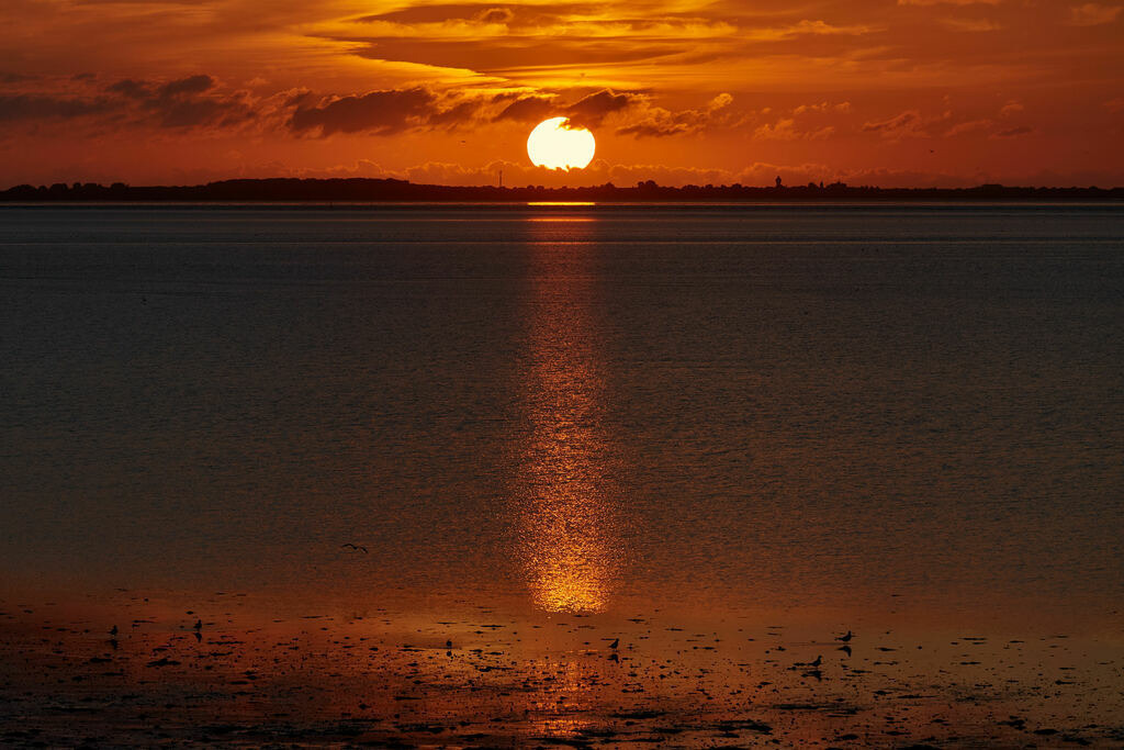 Ostfriesland Sonnenuntergang II | kleinen-fotografie