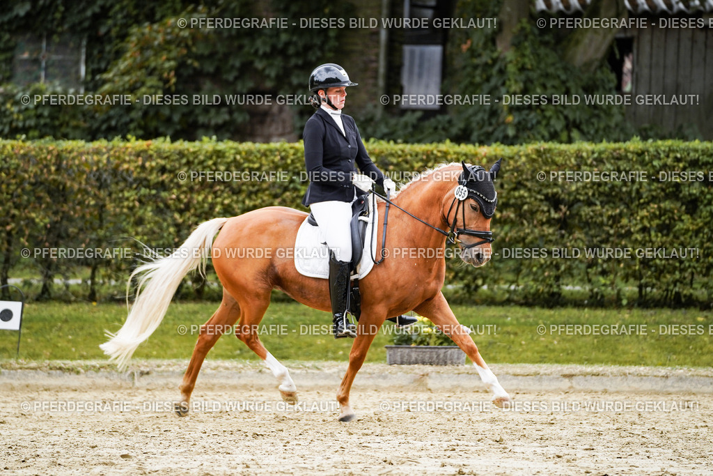 DSC08585 | Pferdegrafie