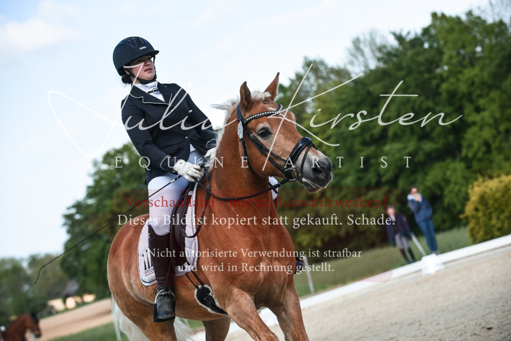 20230518_JK-Röhrsdorf-12-1109 | Pferde- und Turnierfotografie in Westsachsen. Pferdeportraits, Auftragszeichnungen und intuitive Kunst.