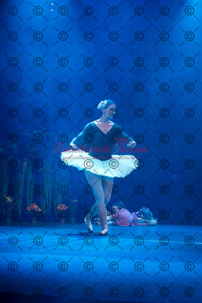 Ballettaufführung-1170 | Bildershop Lem'n Entertainment - Realisiert mit Pictrs.com