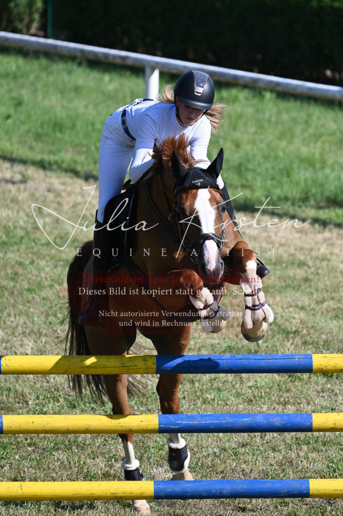 DSC_2284 | Pferde- und Turnierfotografie in Westsachsen. Pferdeportraits, Auftragszeichnungen und intuitive Kunst.