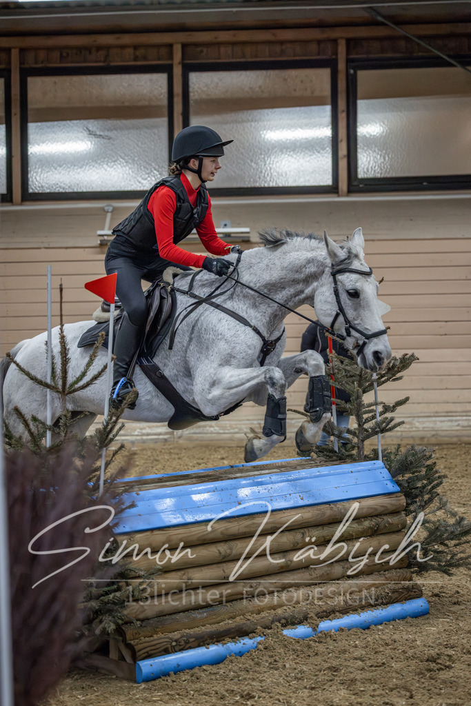 20260222-_3LI1039 | Tierfotografie Pferde, Hunde, Katzen, Haustiere.
Turnierfotografie Reitturniere, Reiten, Springreiten, Dressur in Hanau, dem Main-Kinzig-Kreis und dem Rhein-Main- Gebiet um Frankfurt