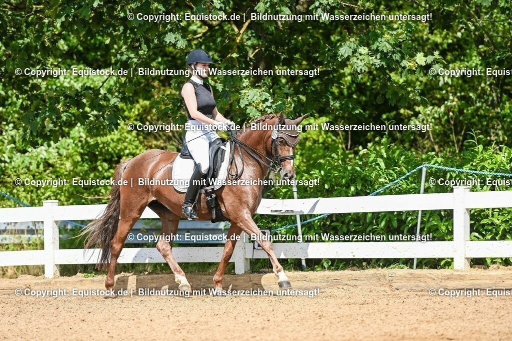 20230716_01_Dressurprüfung Kl.M_0321 | equistock