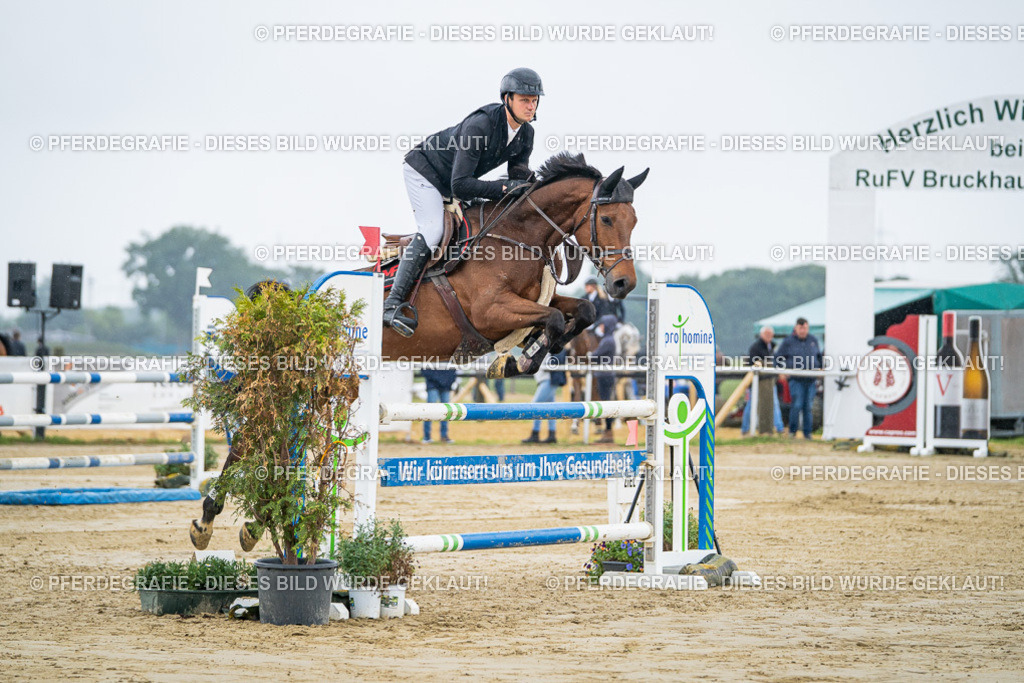 DSC01441 | Pferdegrafie