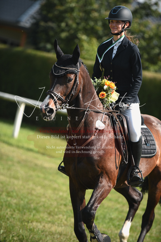 DSC_2664 | Pferde- und Turnierfotografie in Westsachsen. Pferdeportraits, Auftragszeichnungen und intuitive Kunst.