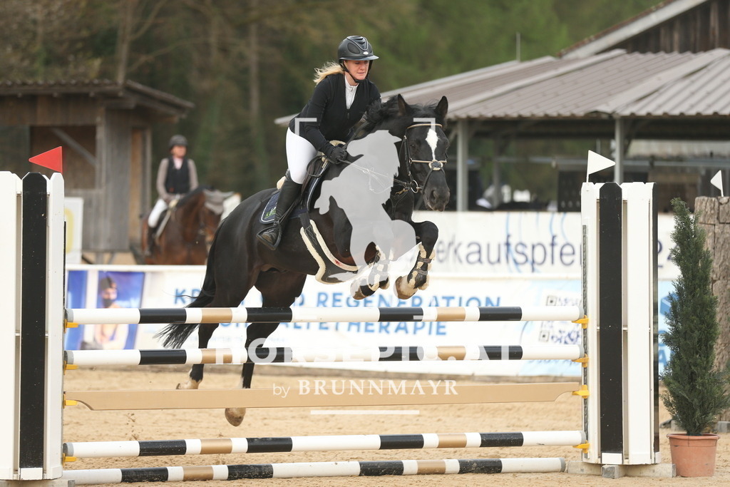 AS8V8272 | Willkommen bei Brunnmayr - Design & Fotografie – Ihrem Spezialisten für Reitturniere und Pferdeveranstaltungen in Oberösterreich, Salzburg und Bayern! Seit über 17 Jahren sind wir leidenschaftlich dabei.