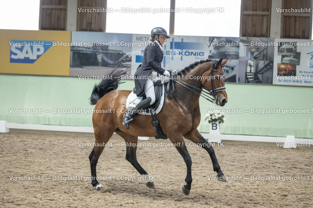 _D5A6361 | Emotionale Pferde- & People-Fotografie rund um Heidelberg, Leimen & Umgebung. Natürliche Fotos von Pferd, Mensch & Familie. Jetzt Termin sichern!