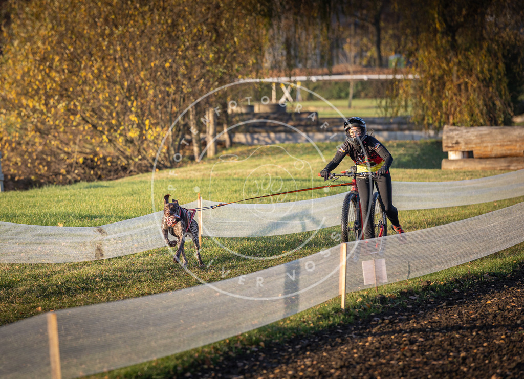 CaniXpix_DV3A0185 | Hundefotografie, Tierfotograf, Pfotenfotografie, Fotoshooting Hund, Hunde Portrait, Hundesport, Hundeportraits, Heideshooting, Hunde, Sportfotograf, Hundefotograf, Turnierhundsport, THS,  - Realisiert mit Pictrs.com