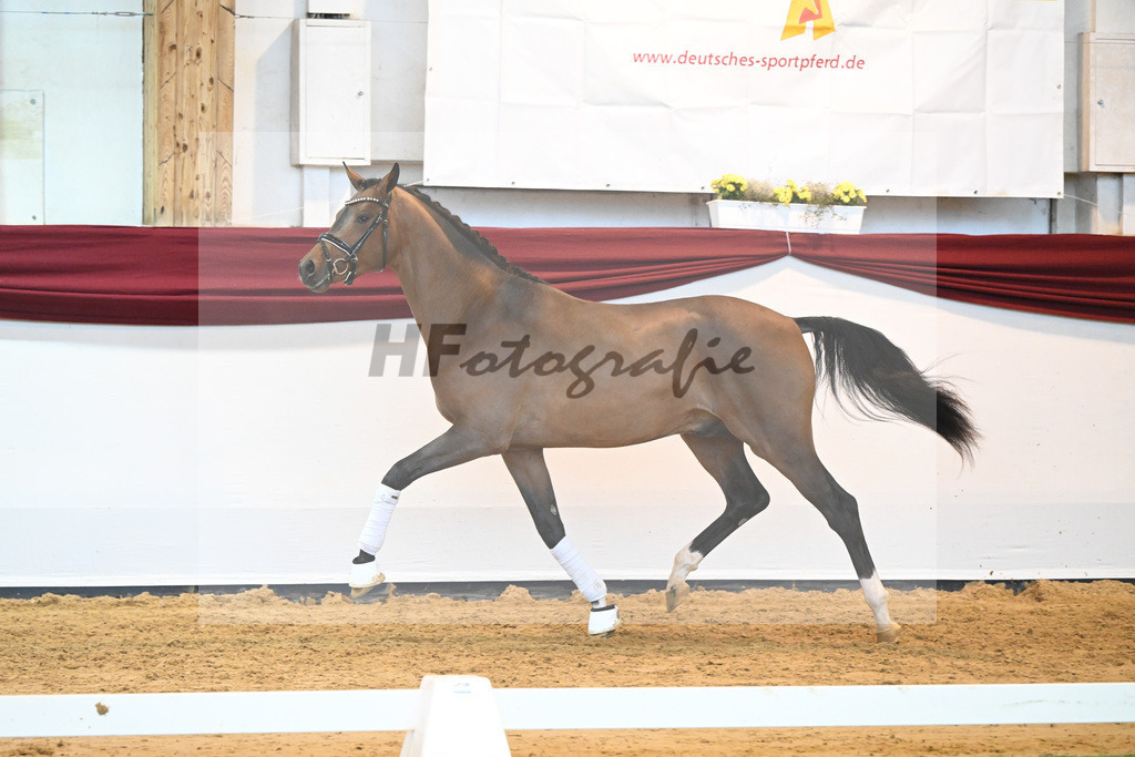 Kat-Nr. 35 v. Imposantos_Dusak_66222100 | hf-fotografie - Realisiert mit Pictrs.com
