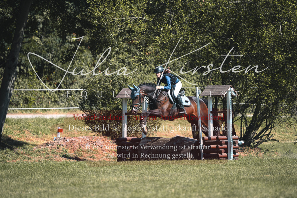 DSC_7941 | Pferde- und Turnierfotografie in Westsachsen. Pferdeportraits, Auftragszeichnungen und intuitive Kunst.