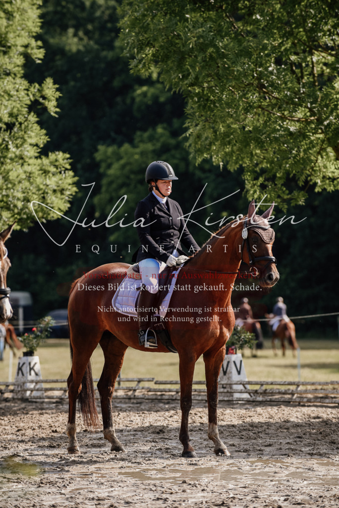 DSC_9232 | Pferde- und Turnierfotografie in Westsachsen. Pferdeportraits, Auftragszeichnungen und intuitive Kunst.