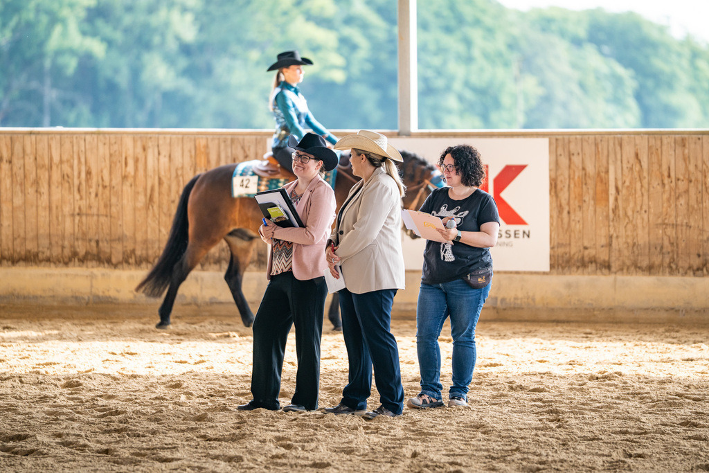 DSC08491 | Pferdegrafie