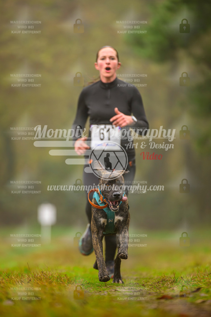 MompixPhotography_Bischwiller2025_Canicross-106 | mompixphotography