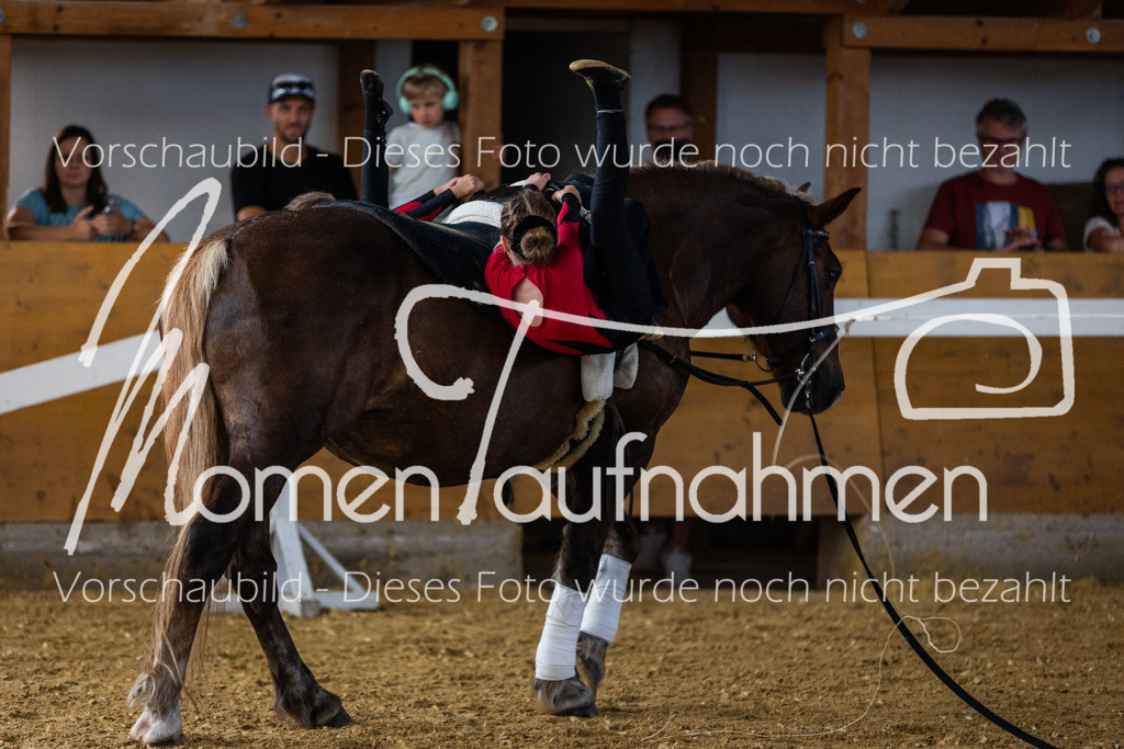 SS-Maxi-186 | MomenTaufnahmen Pferdesportfotos