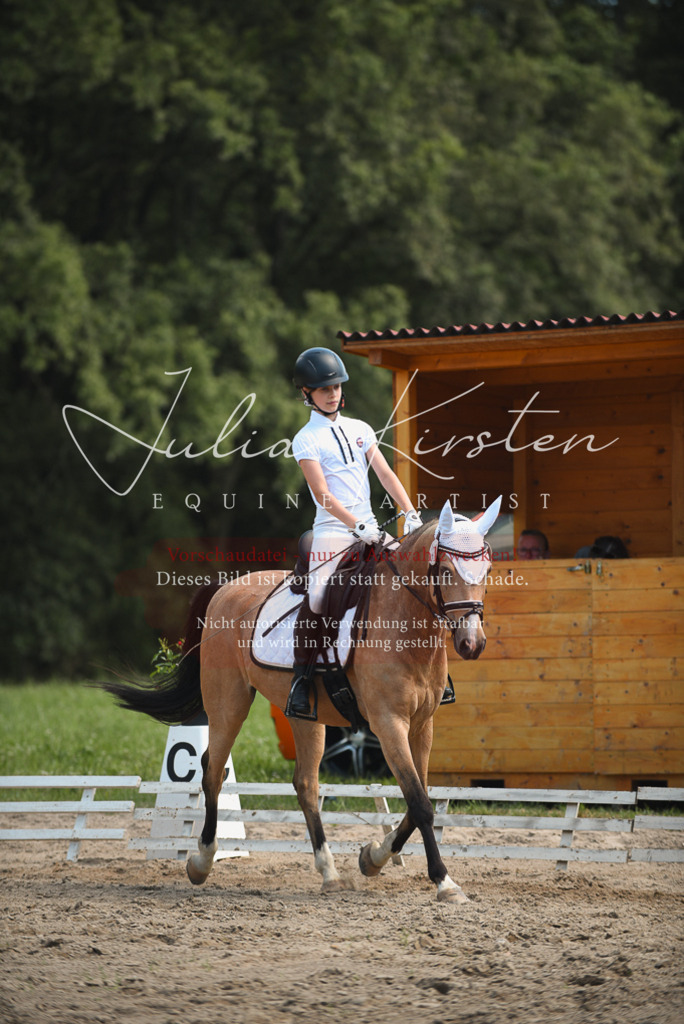 DSC_2500 | Pferde- und Turnierfotografie in Westsachsen. Pferdeportraits, Auftragszeichnungen und intuitive Kunst.