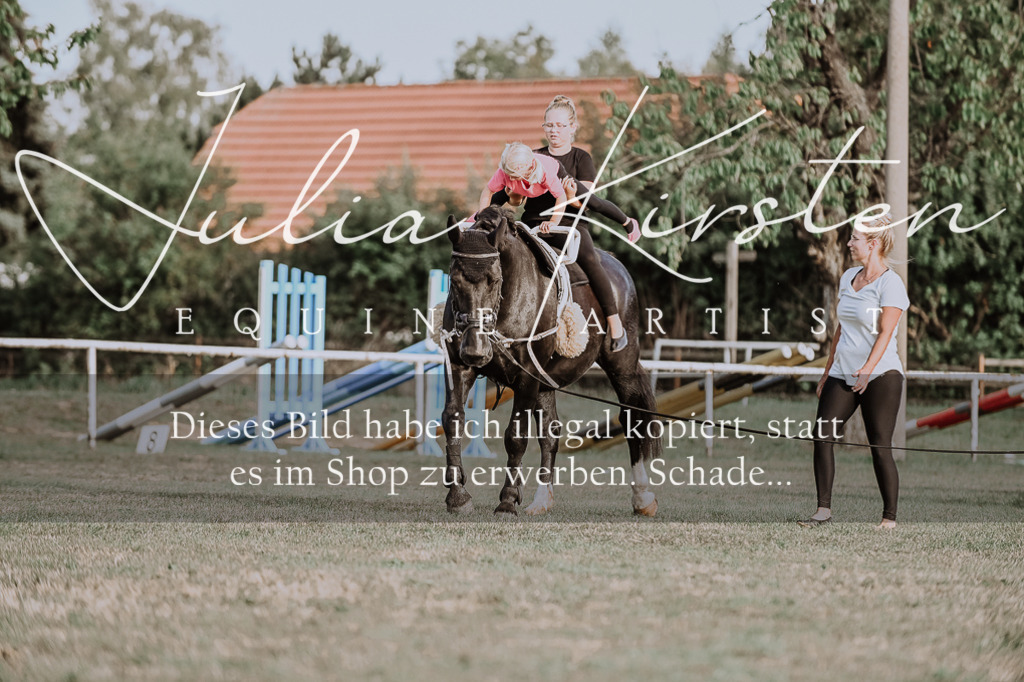 DSC_0013 | Pferde- und Turnierfotografie in Westsachsen. Pferdeportraits, Auftragszeichnungen und intuitive Kunst.