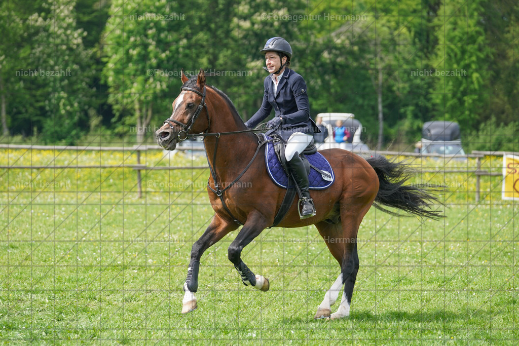20240509-FAH02852 | Turnierbilder der Turnierfotografen Bayern, Pferdesport Fotografie, Reitsportbilder, Turnier Landberg am Lech, Turnierbilder bayern, Fotoagentur Herrmann