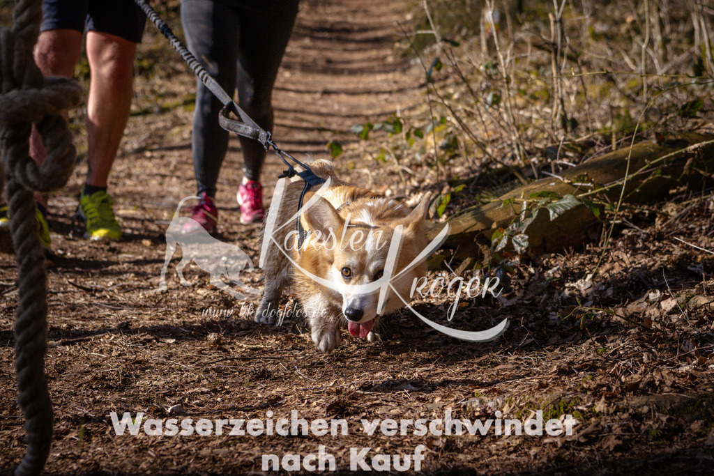 0925_ZZ97805 | kk-dogfotos