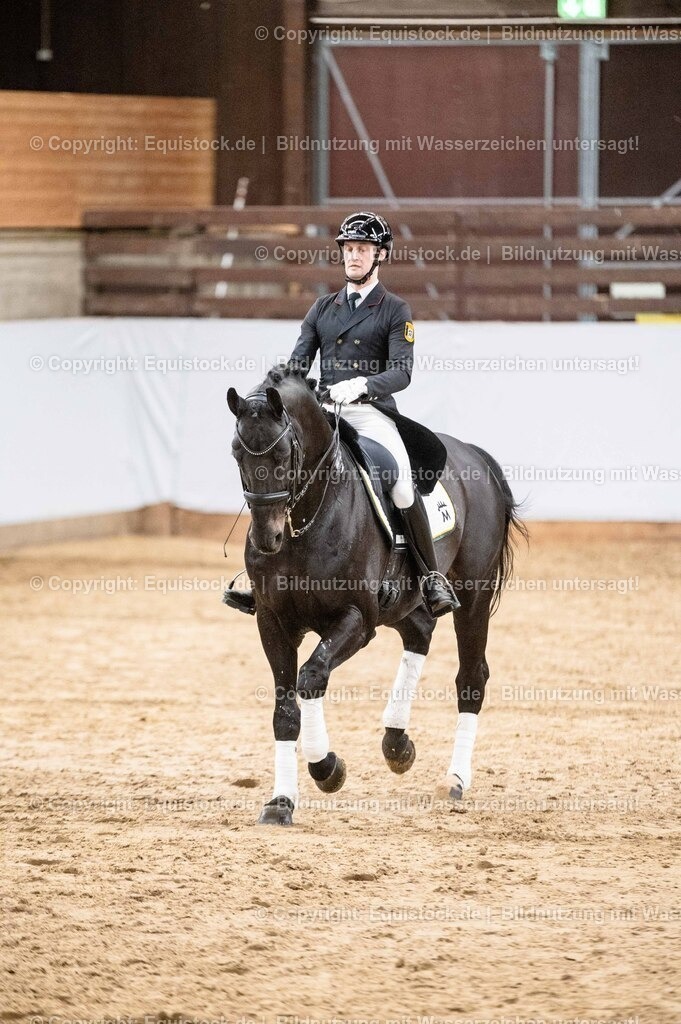 20260307_Hengstvorstellung-Marbach_0510 | equistock
