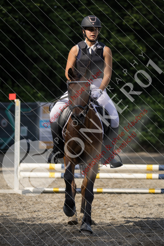 IMG_5952 | Sport-, Event- und Tierfotos in Profiqualität. Einfach auswählen, bestellen und herunterladen. Dein Moment – perfekt festgehalten.