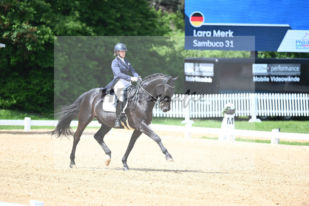 Merk_Sambuco_12243628 | hf-fotografie - Realisiert mit Pictrs.com