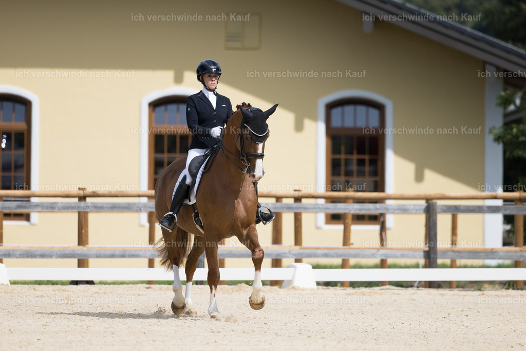 FHC2026_P02_87_13146 | Fichtenhof Classics 2026 – Dressurturnier, Reitanlage Fichtenhof, Schäftlarn