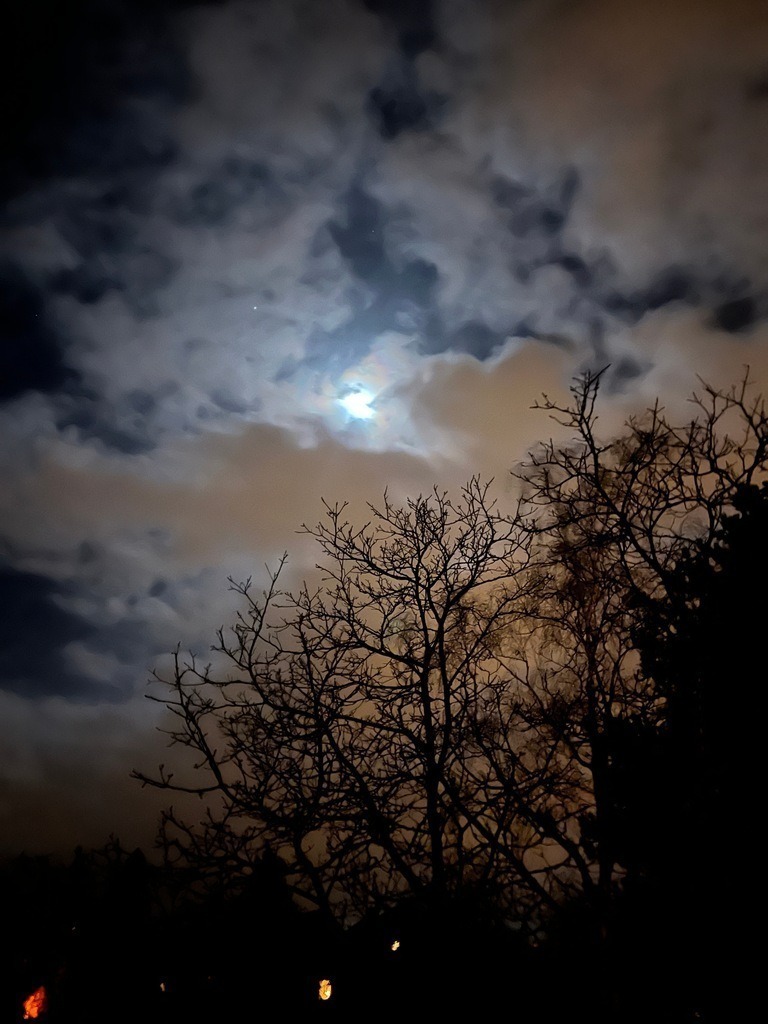 IMG_9399 | ace - Realisiert mit Pictrs.com