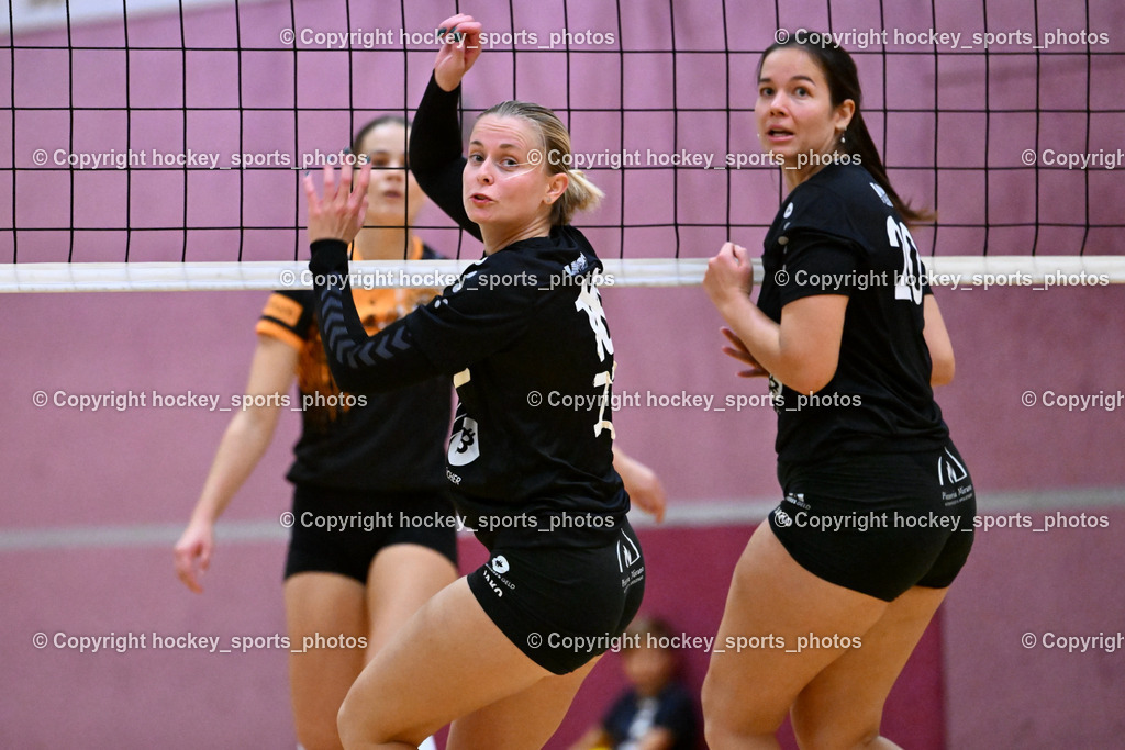 ASKÖ Volley Eagles vs. VCH Hausmannstätten 26.10.2023 | hockey sports photos, Pressefotos, Sportfotos, hockey247, win 2day icehockeyleague, Handball Austria, Floorball Austria, ÖVV, Kärntner Eishockeyverband, KEHV, KFV, Kärntner Fussballverband, Österreichischer Volleyballverband, Alps Hockey League, ÖFB, 