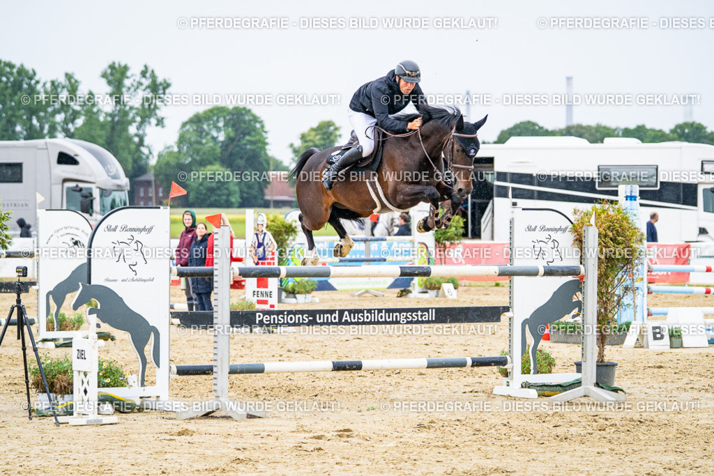 DSC07567 | Pferdegrafie