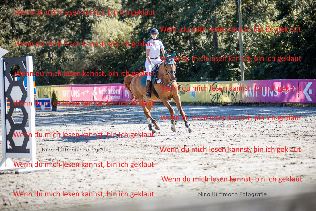 BK1A7981 | Turnierbilder Turnierfotos Nina Hüffmann Turnierfotografie Pferdefotografie Tierzeichnung Haustierzeichnung Pferdezeichnung Hundezeichnung Videograf  - Realisiert mit Pictrs.com
