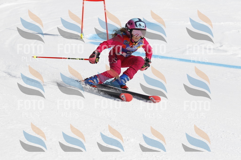 _U3G9783 | holidayphoto