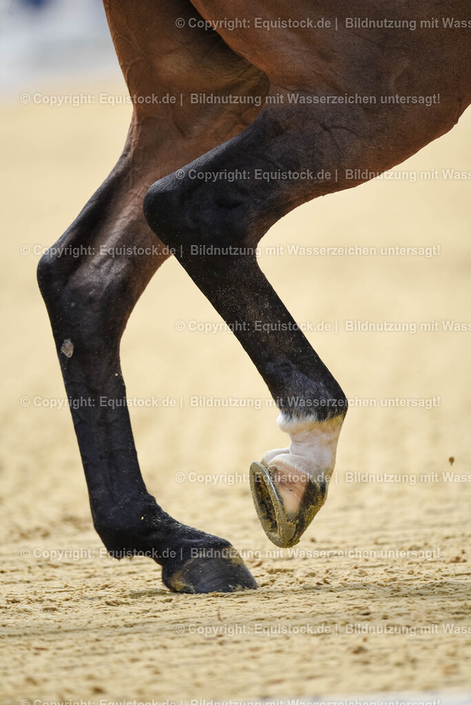 20250607_1_GP-Tour_Dressage_0098 | Foto: Thomas Hartig