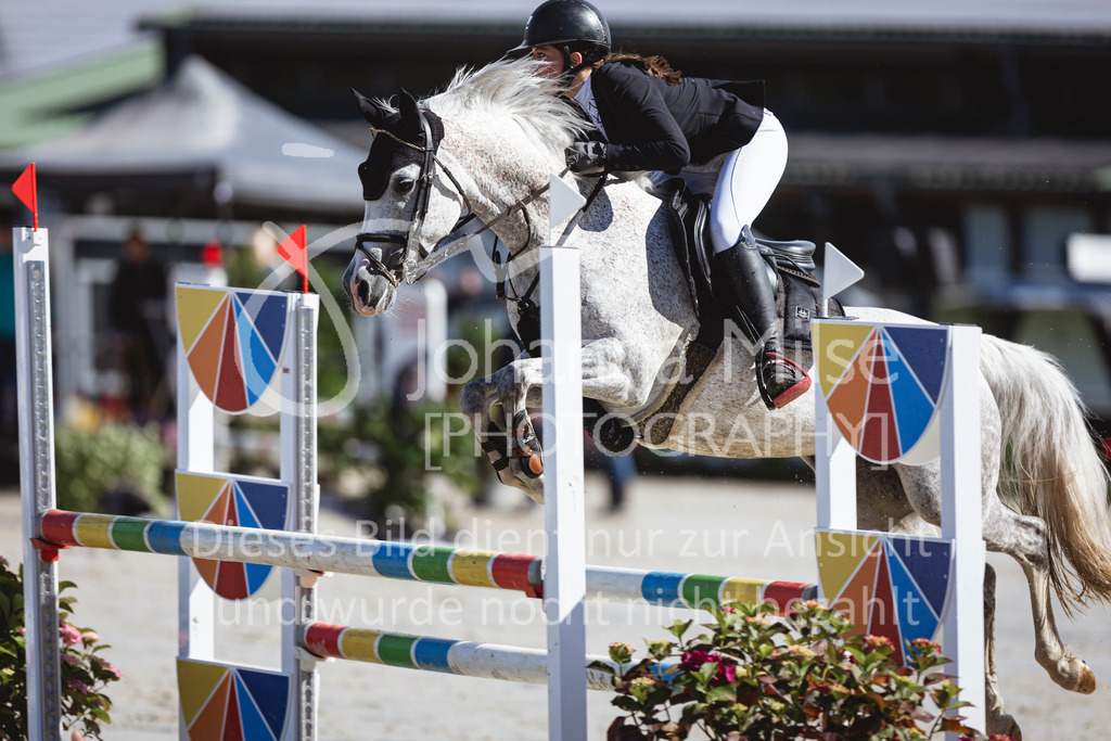 240615_CoesfeldLette_Stil-A-214 | Deine schönsten Turniermomente als professionelle Fotos! Entdecke hochwertige Pferdesport-Fotografie im Online-Shop. Jetzt Fotos finden & bestellen!